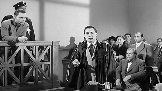 Good night… lawyer!