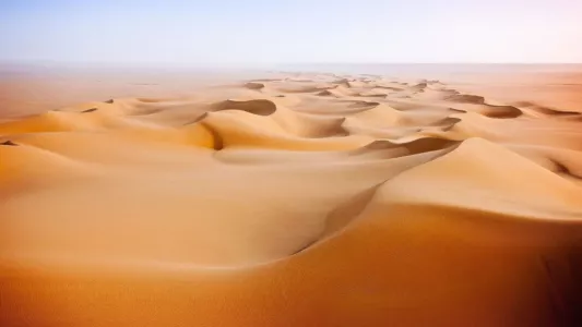 Wild Arabia