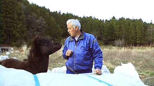 Alone Again in Fukushima