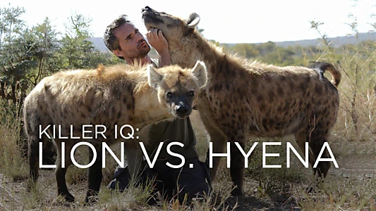 Killer IQ: Lion vs. Hyena