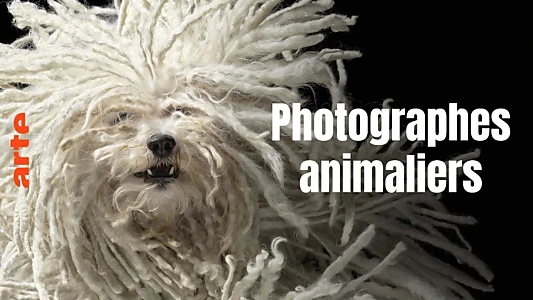 Animal Art: Photogenic Creatures