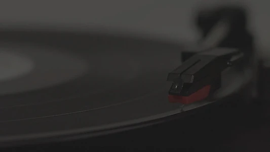 The Vinyl Player