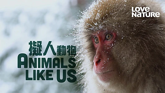 Animals Like Us