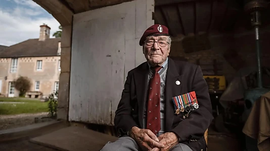 D-Day: The Soldiers' Story