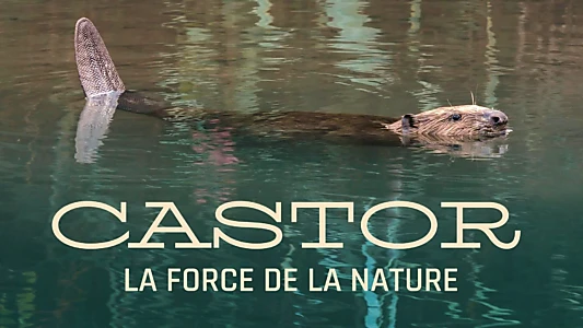 Castor, la force de la nature