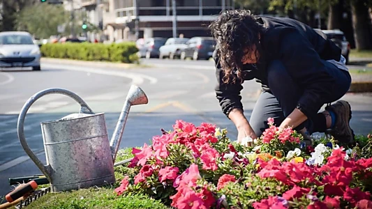 Un jardín para Pichón