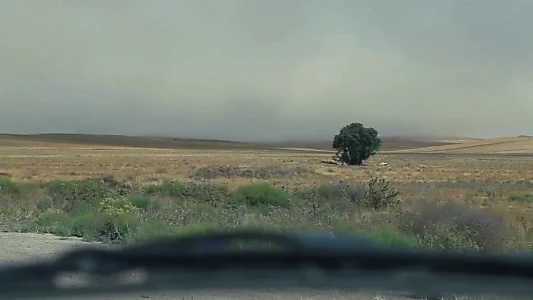 And Kiarostami Goes On