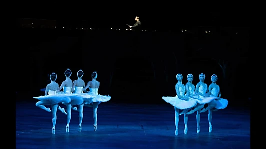 English National Ballet: Swan Lake