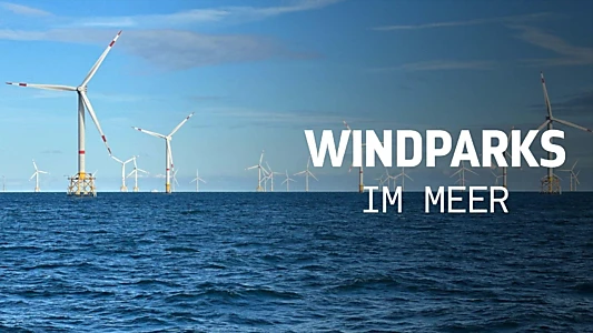 Windparks im Meer - Chance oder Risiko für die Natur?
