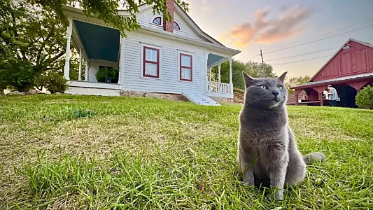 Red Letter Media Investigates: The Villisca Ax Murder House