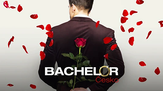 Bachelor Česko