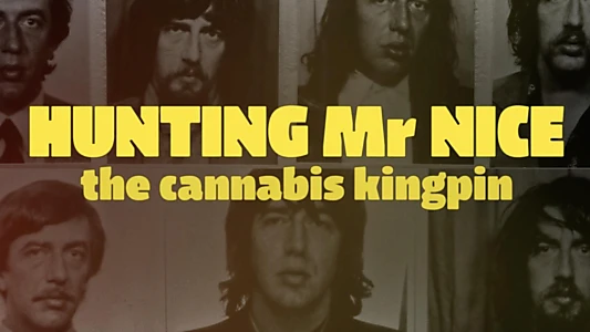 Hunting Mr Nice: The Cannabis Kingpin