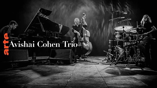 Avishai Cohen Trio Leverkusener Jazztage 2024