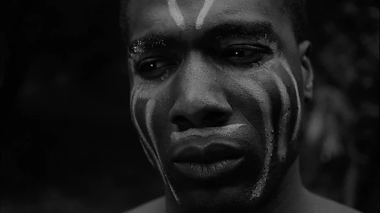 Curse of the Voodoo