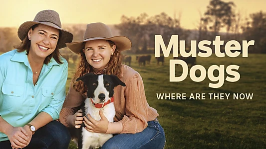 Muster Dogs: Where Are They Now