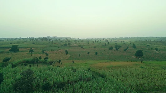 The Sahel Cuisine: Fura Da Nono