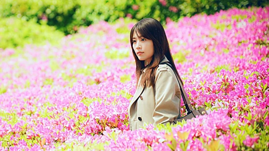 Petals and Memories