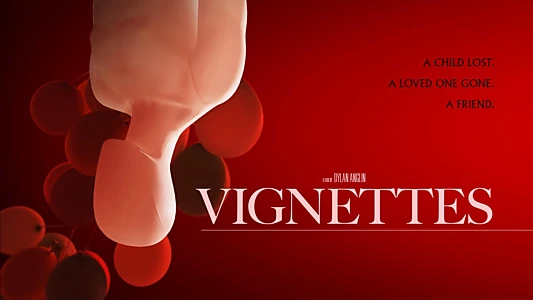 Vignettes