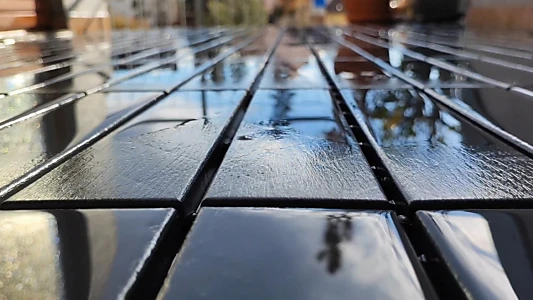 Documentary: Moving