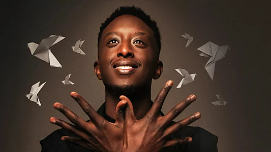 Ahmed Sylla : Origami