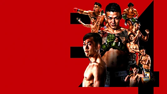 RIZIN 34