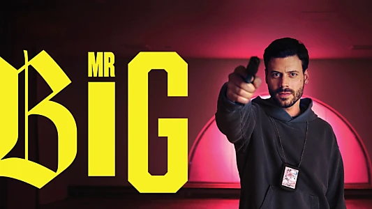 MR BIG
