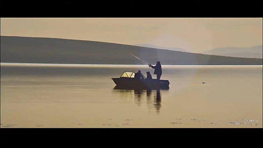 Big Fish - Cleaning