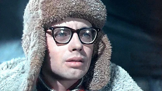 Dima Gorin's Career
