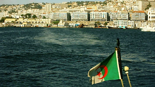 Regards D'en Face - Alger