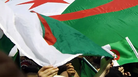 They Chose Algeria
