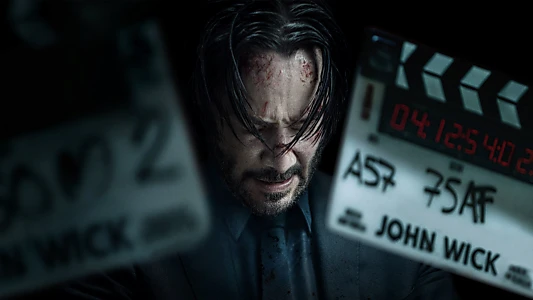 Wick Is Pain