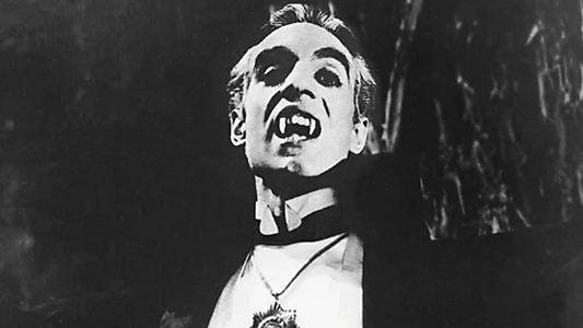 The Vampire's Coffin