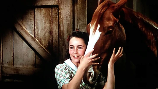 National Velvet