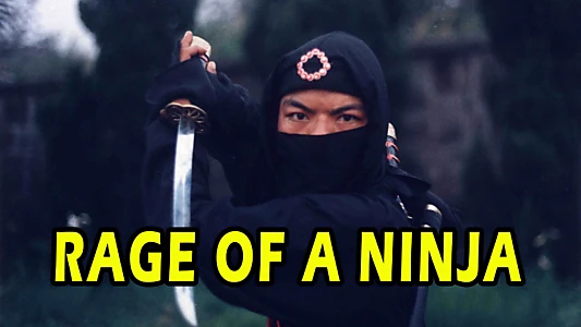 Rage of a Ninja