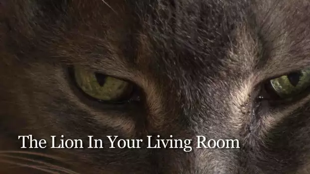 The Lion In Your Living Room
