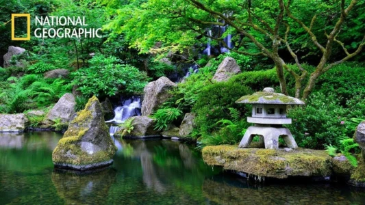 Satoyama II: Japan's Secret Watergarden