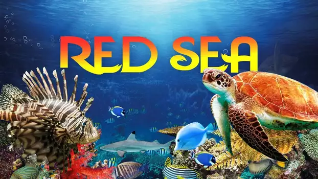 Red Sea