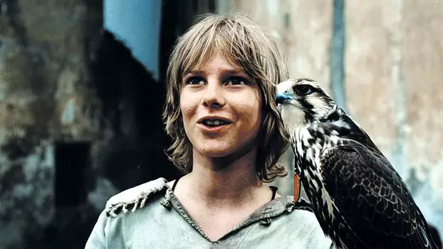 Tomáš and the Falcon King