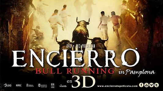 Encierro 3D: Bull Running in Pamplona