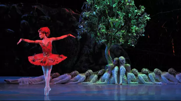 Stravinsky and the Ballets Russes: The Firebird / The Rite of Spring