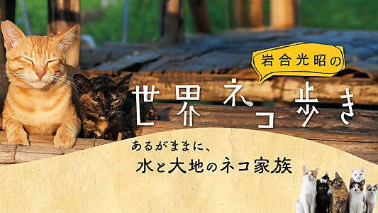 Mitsuaki Iwago's World “Cats” Travelogue