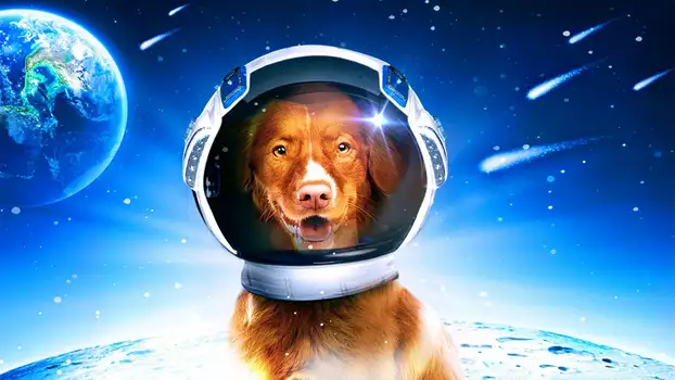 My Dog the Space Traveler