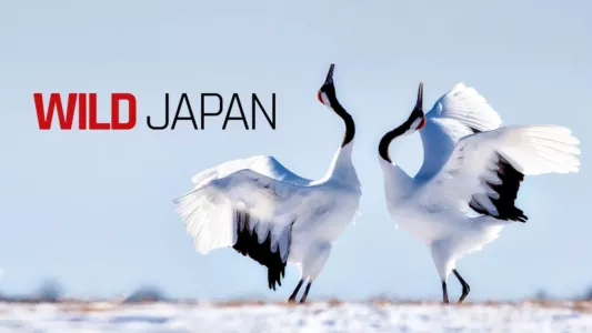 Japan: Earth's Enchanted Islands