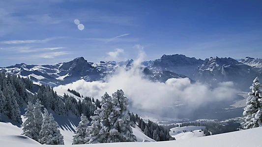 The Alps from Above: Symphony of Summits