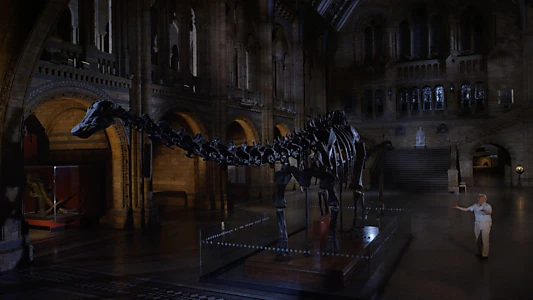 David Attenborough's Natural History Museum Alive