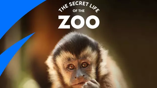 The Secret Life of the Zoo