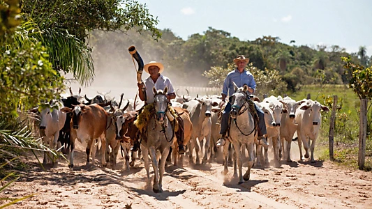 Brazil with Michael Palin