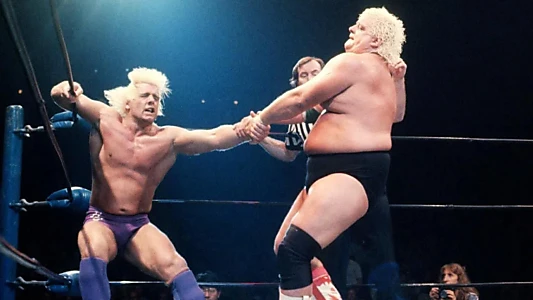 NWA Starrcade '85: The Gathering