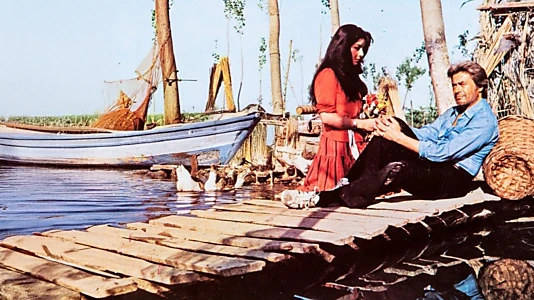 Kader Arkadaşı
