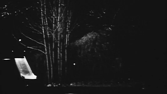 Nocturne